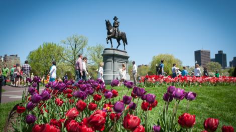 Spring tulips frame the statue of George Washington in Boston Public Garden
