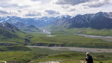 Looking out over Denali National Park and Preserve in Alaska