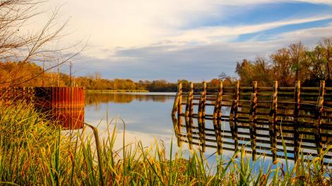 Calm waters of the Savannah River, a natural border of the city