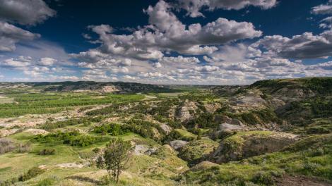 Geologic adventures, flora and fauna along rolling buttes of the Badlands
