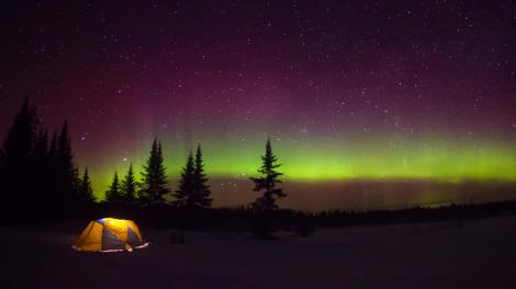 Aurores boréales illuminant le ciel nocturne