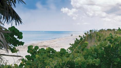 Strolling the pristine, white-sand shores of Don Pedro Island State Park