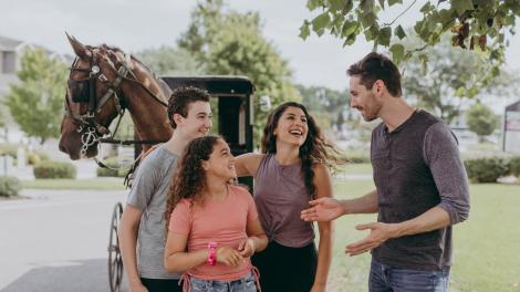 来一场马车之旅，欣赏秀丽的乡间美景