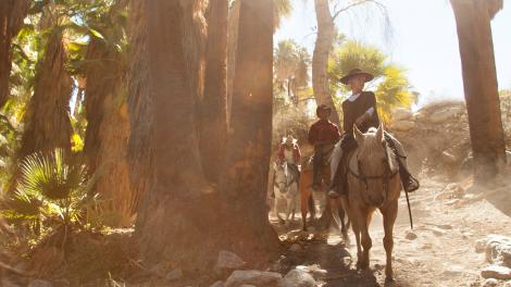 美しいインディアンキャニオンズの清流と自生するヤシの木沿いを乗馬