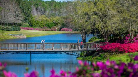 Bellingrath Gardens in Mobile, Alabama