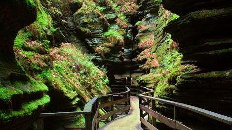 Absorbing the beautiful Wisconsin Dells scenery on a hiking trail