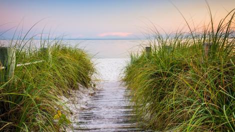 It’s time to go to the beach!