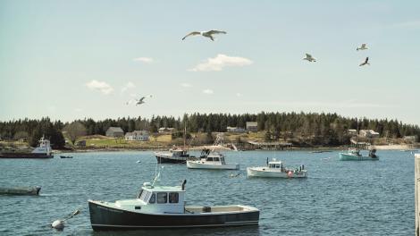 Fishing boats in Maine