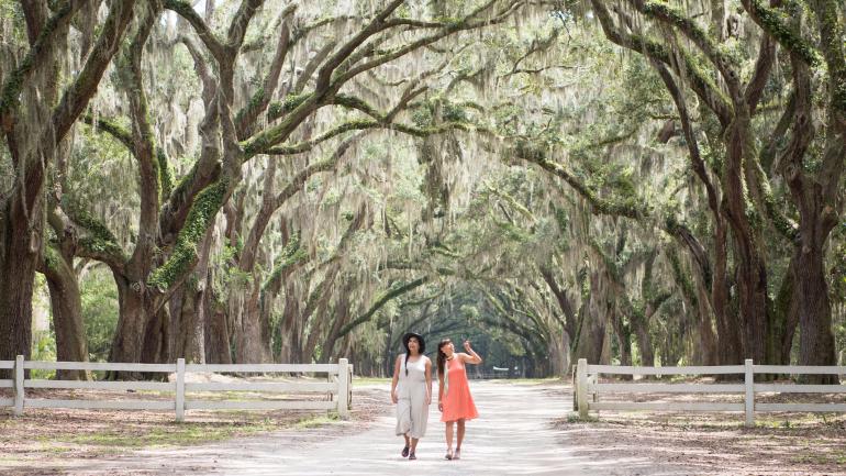 Strolling the oak-lined pathway at Wormsloe State Historic Site in Savannah, Georgia