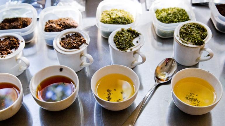 Puedes probar las variedades de té en la Charleston Tea Plantation, la única plantación de té de Estados Unidos, en Wadmalaw Island, al sur de Charleston.