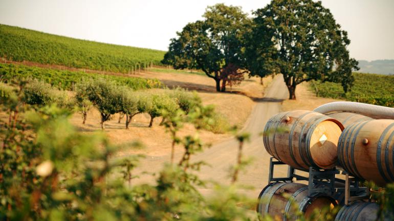 Oregon wine country