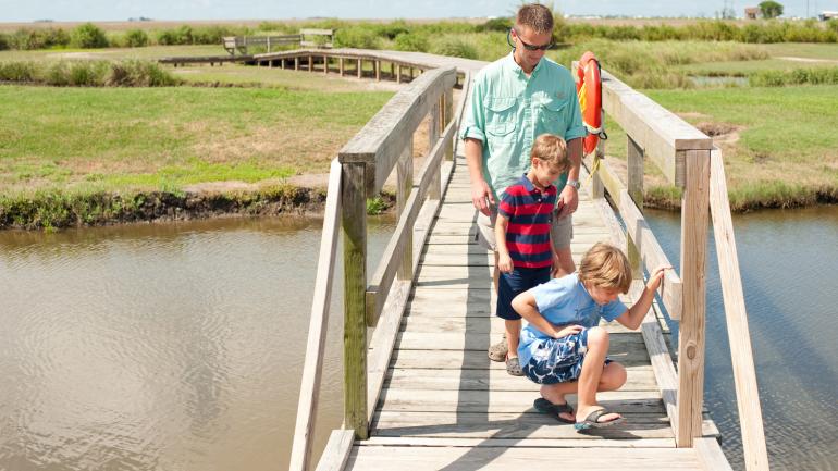 Passeando pelos pântanos ao longo da plataforma de madeira no Defelice Marine Center