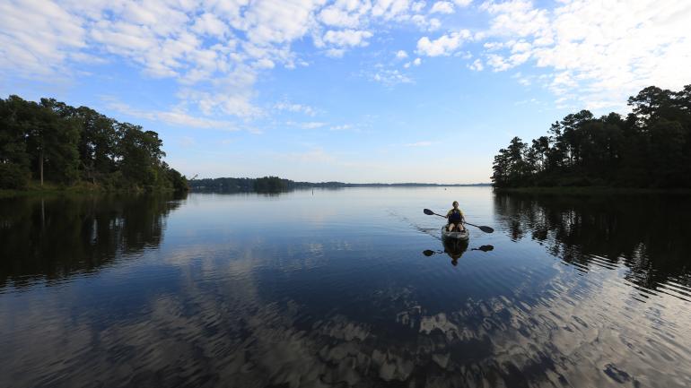 루이지애나주 알렉산드리아 외곽의 키사치 국유림에서 카약 타기