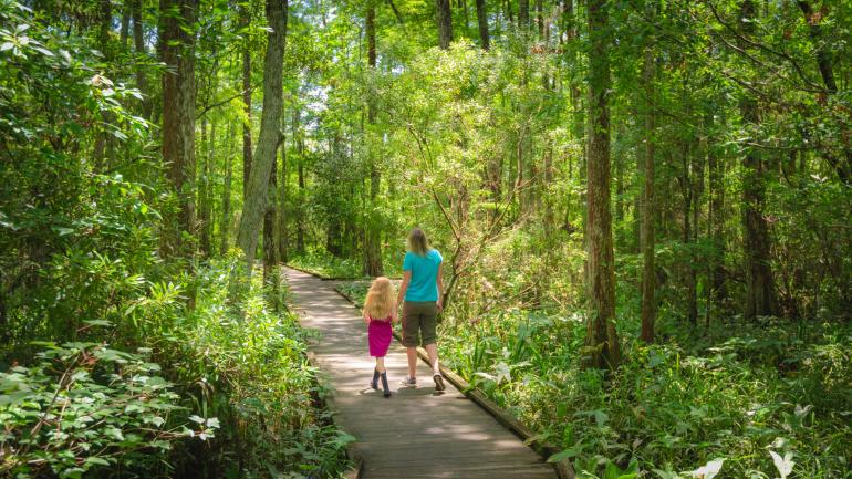 Walking the verdant trails of Fairview-Riverside State Park