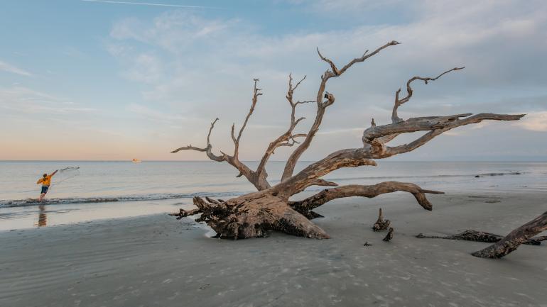A serene scene on Jekyll Island’s Driftwood Beach