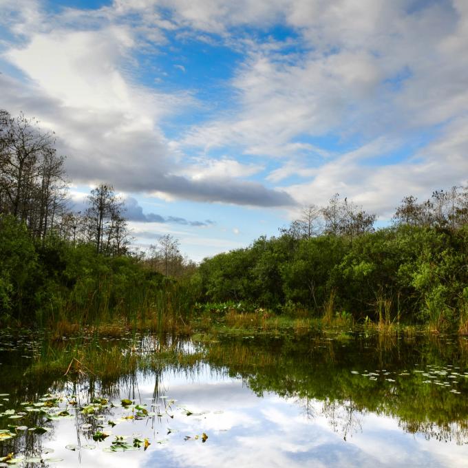 迈阿密是美国唯一一个被两座国家公园环绕的城市：比斯坎国家公园和大沼泽地国家公园。