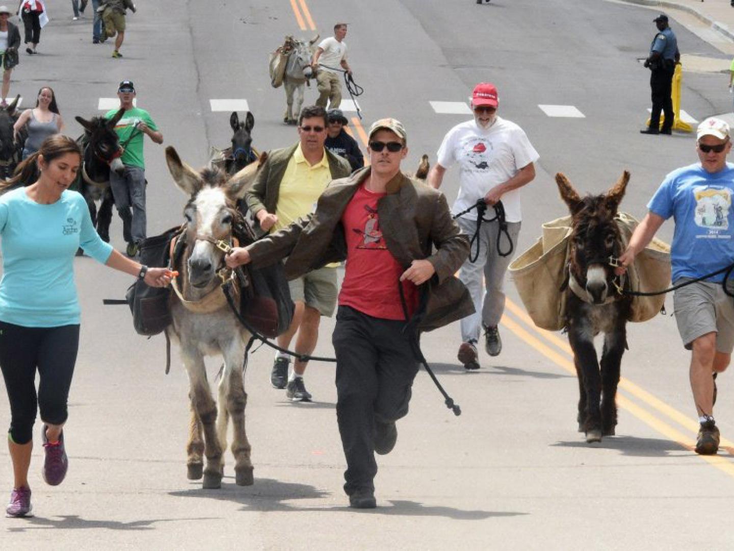 Racing to win at the Donkey Derby Days events