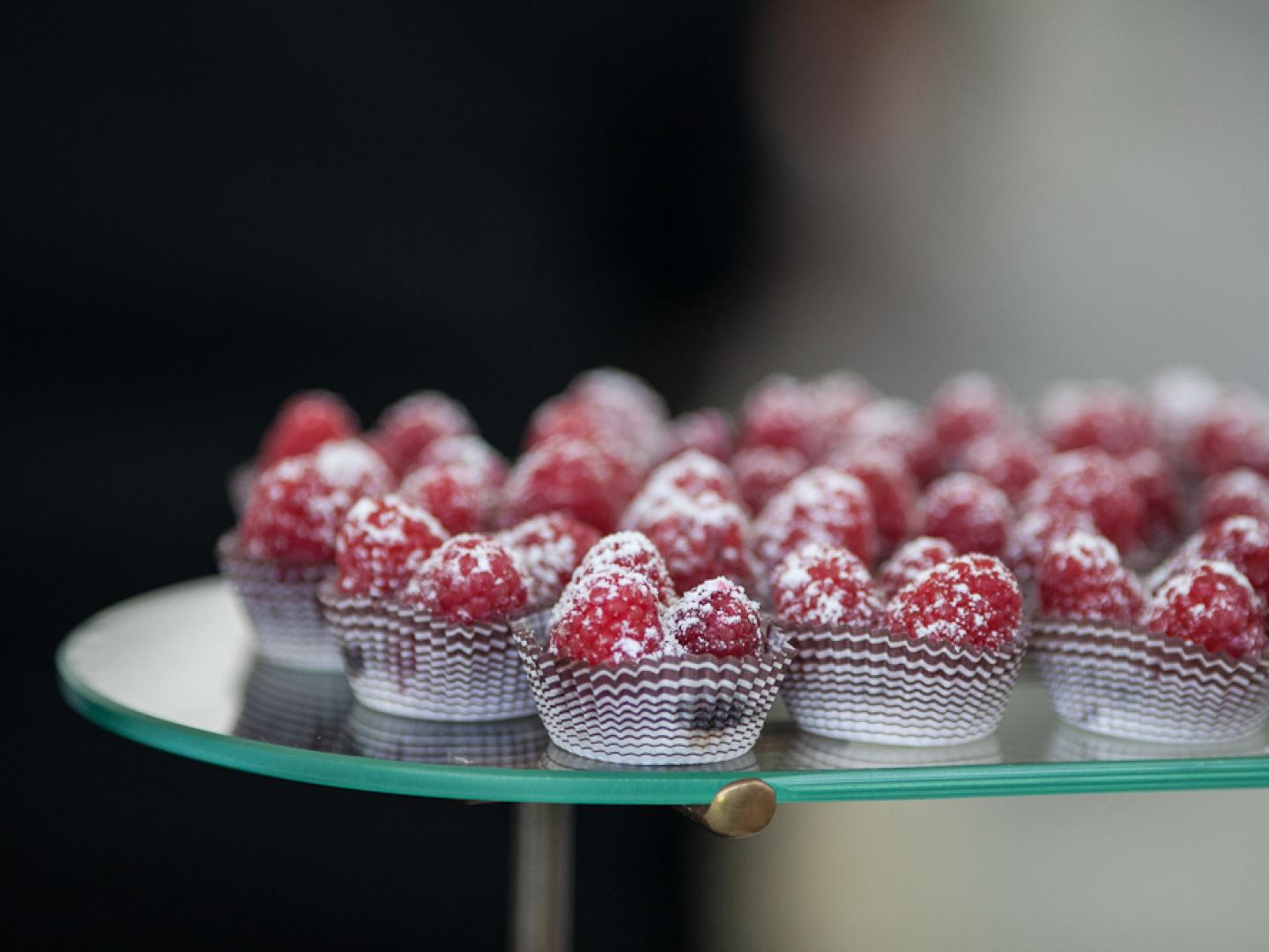 Culinary delights at the Chicago Gourmet celebration at Millennium Park