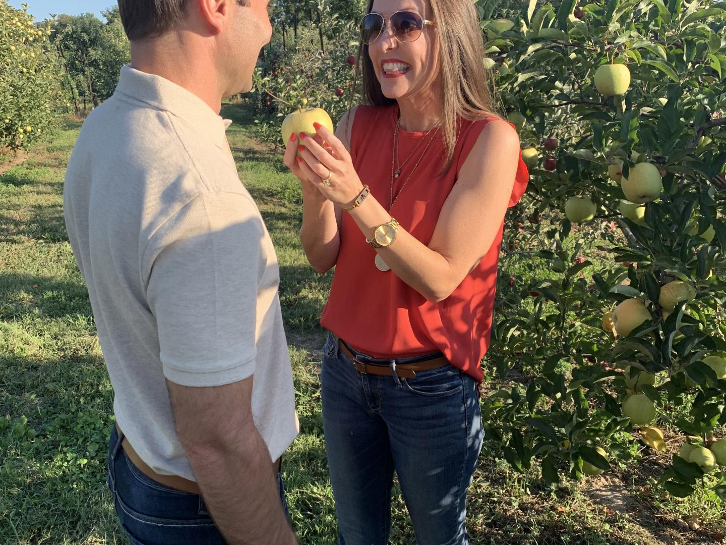 Picking fresh apples at the Apple Festival at Reid’s Orchard in Owensboro, Kentucky