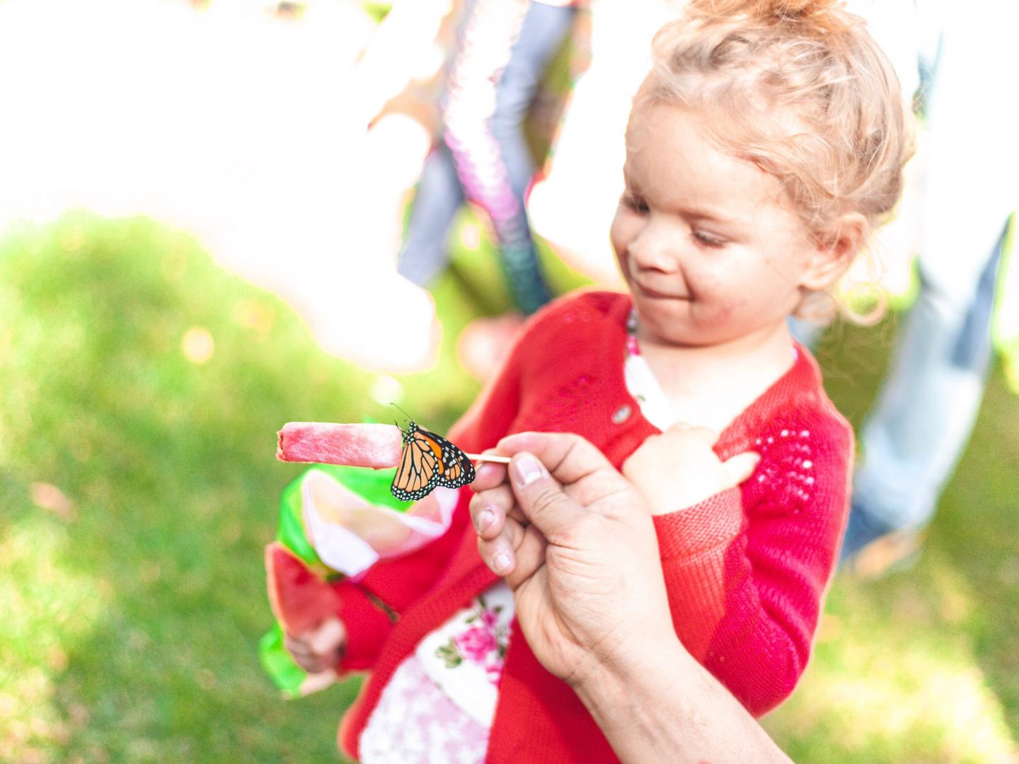 Interacting with a butterfly at Butterfly Flutterby in Grapevine, Texas