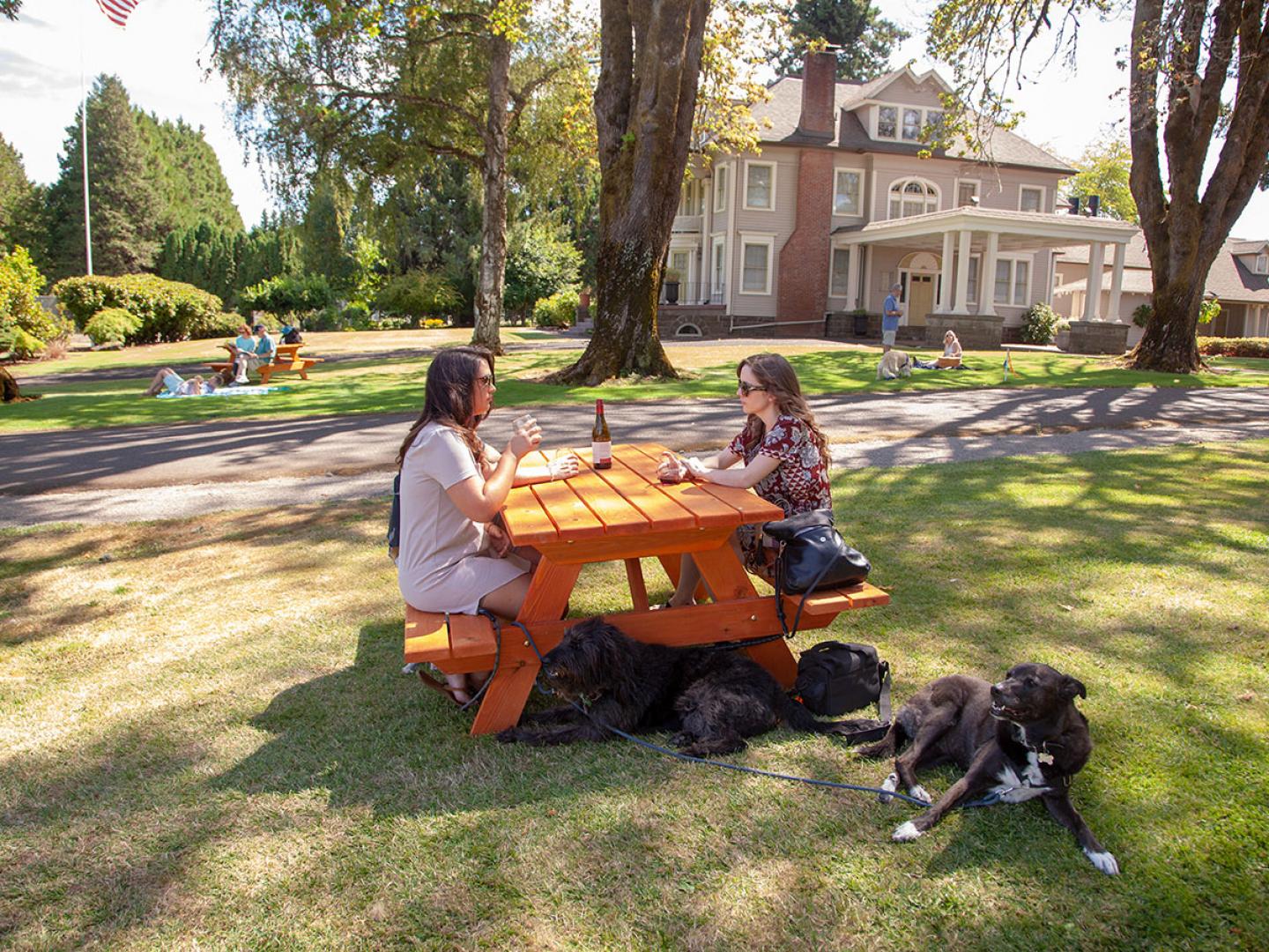 Sipping wine at the dog-friendly Canines Uncorked wine tasting tour in Tualatin Valley, Oregon