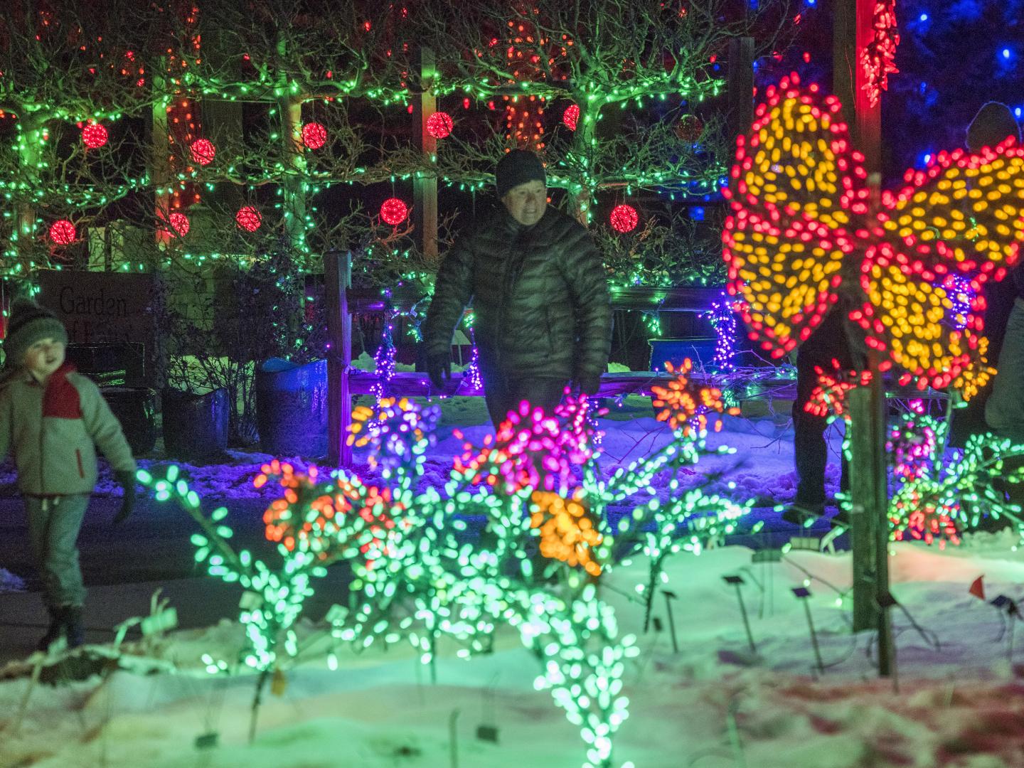 The Gardens on Spring Creek in Fort Collins, Colorado, lit up for the holiday season during Garden of Lights