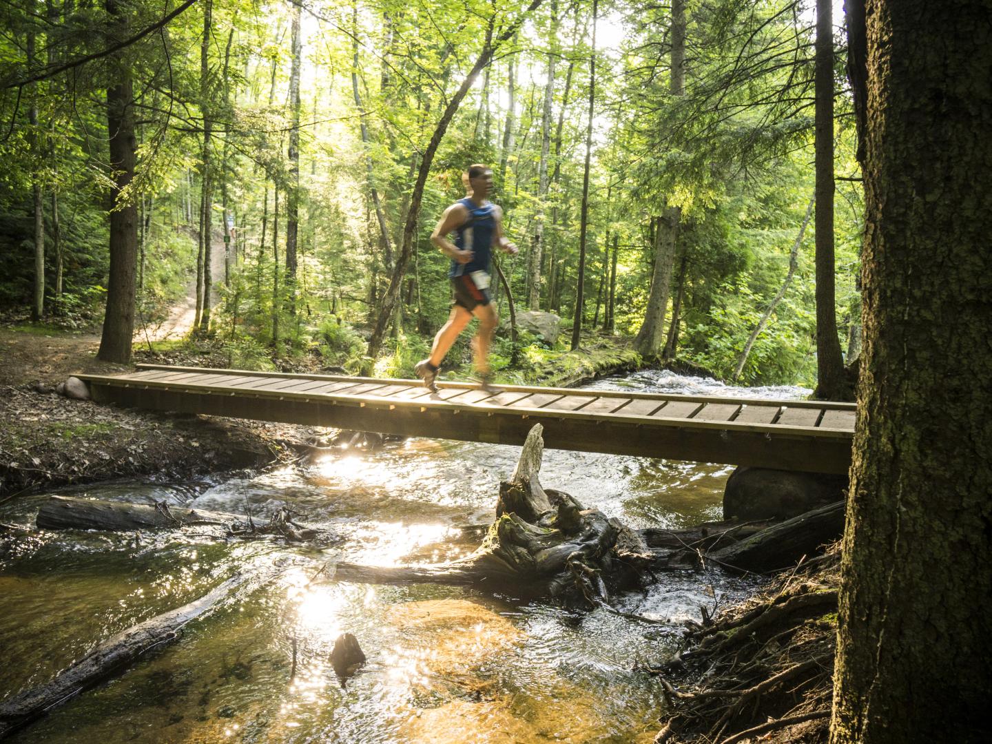 Enjoying a scenic trail run during the Marquette Trails Fest in Michigan