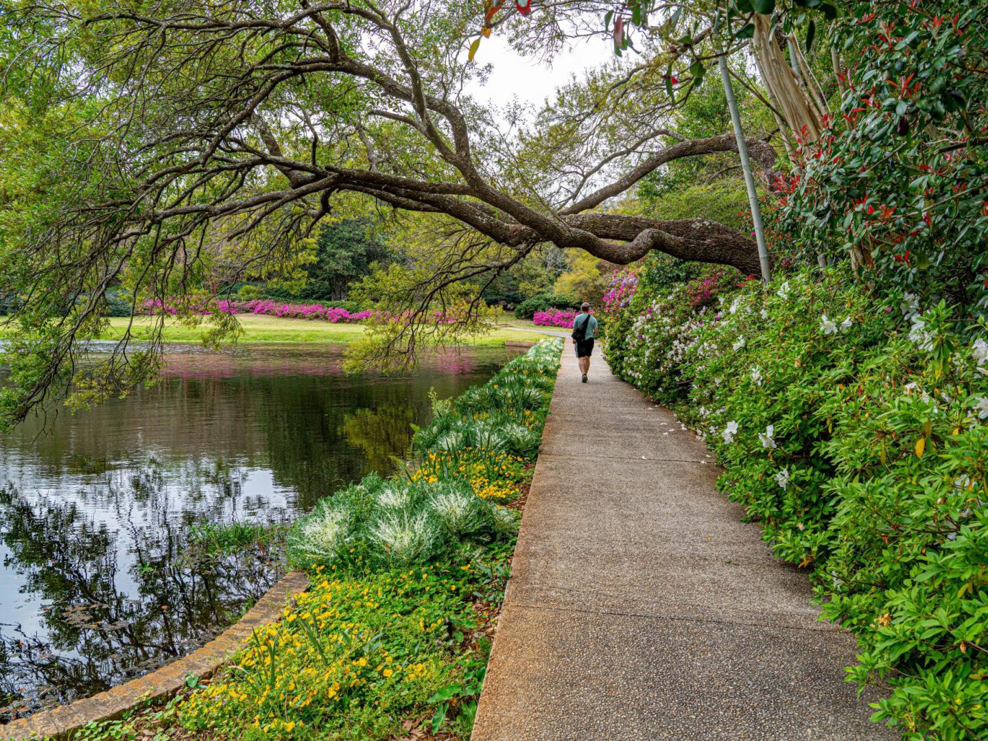Bellingrath Gardens en Mobile, Alabama