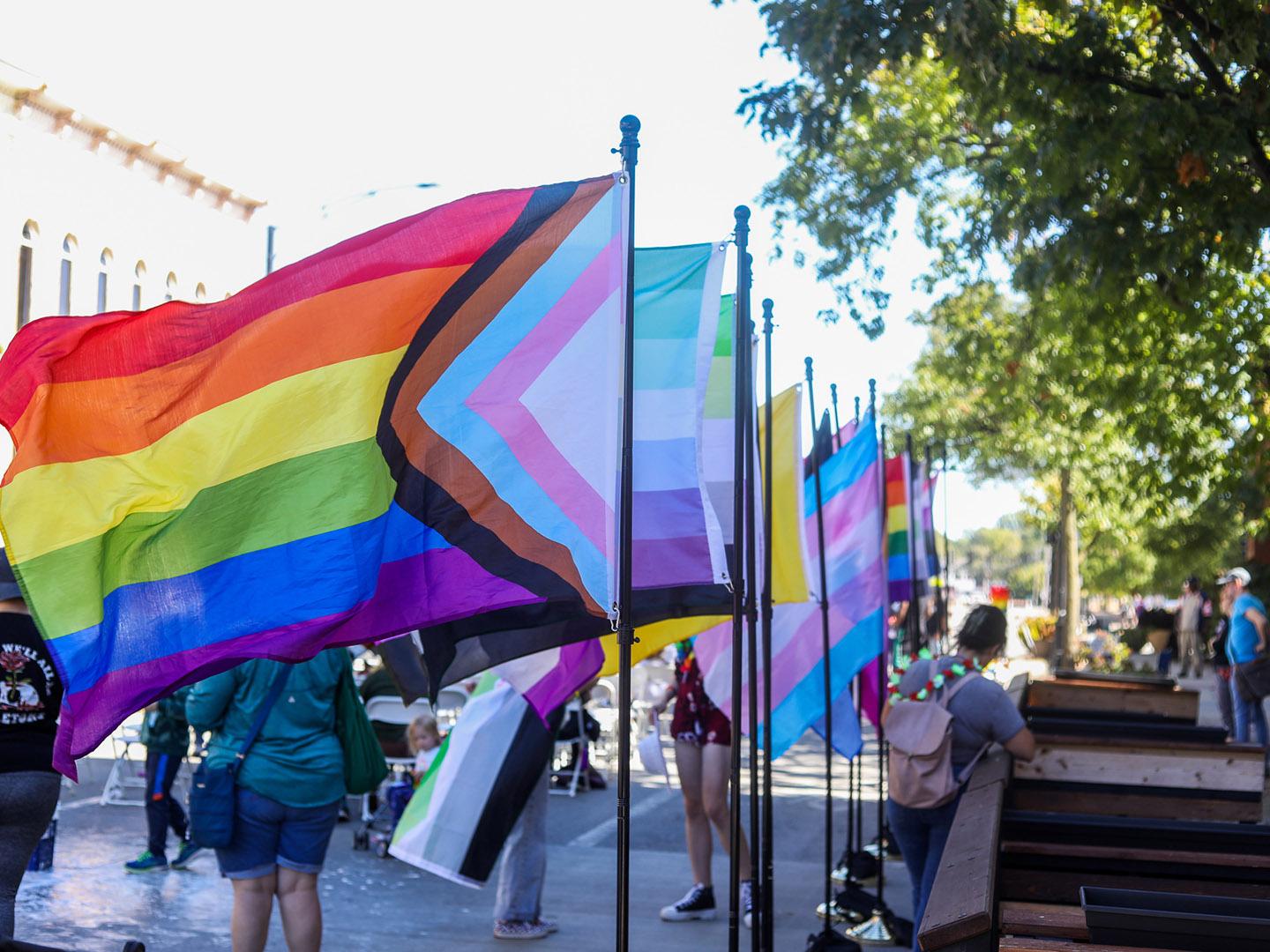Drapeaux exposés lors du CU Pride Festival dans le centre-ville d’Urbana, Illinois