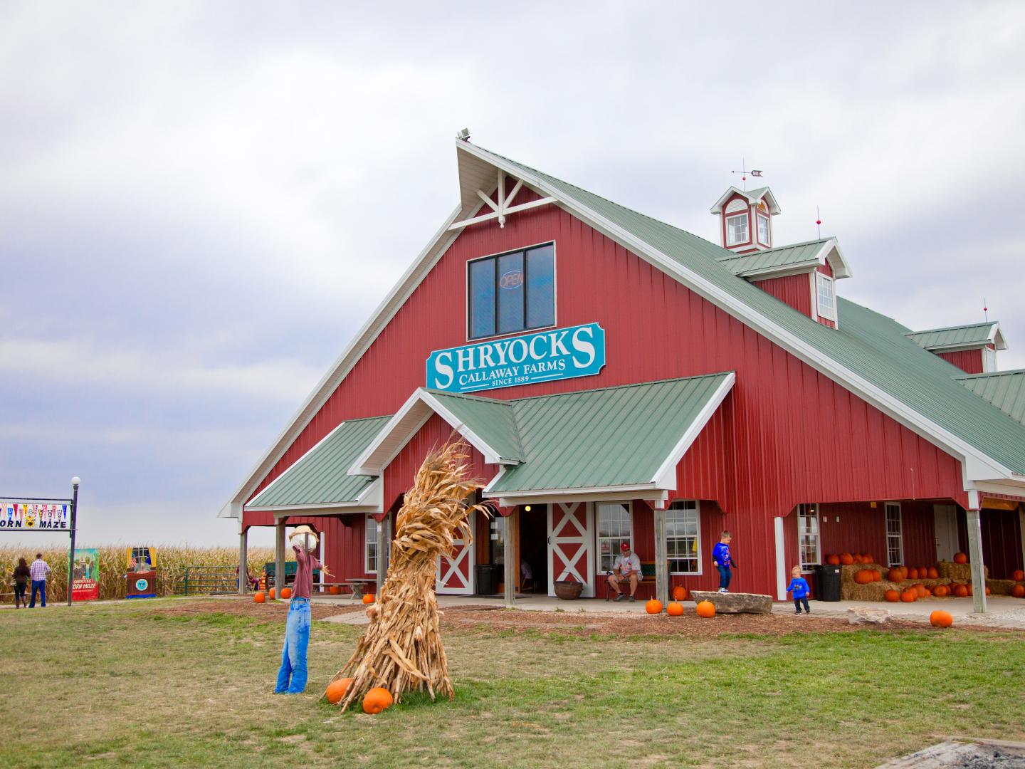 Las festividades de otoño te esperan en Shryock's Corn Maze (Laberinto de maíz de Shryock) en Callaway Farms de Fulton, Misuri