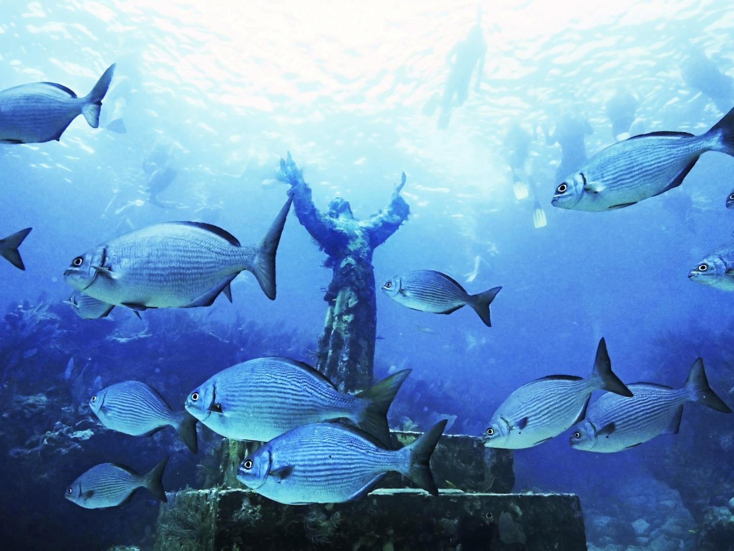 Fish swimming past the Christ of the Deep statue in the Florida Keys