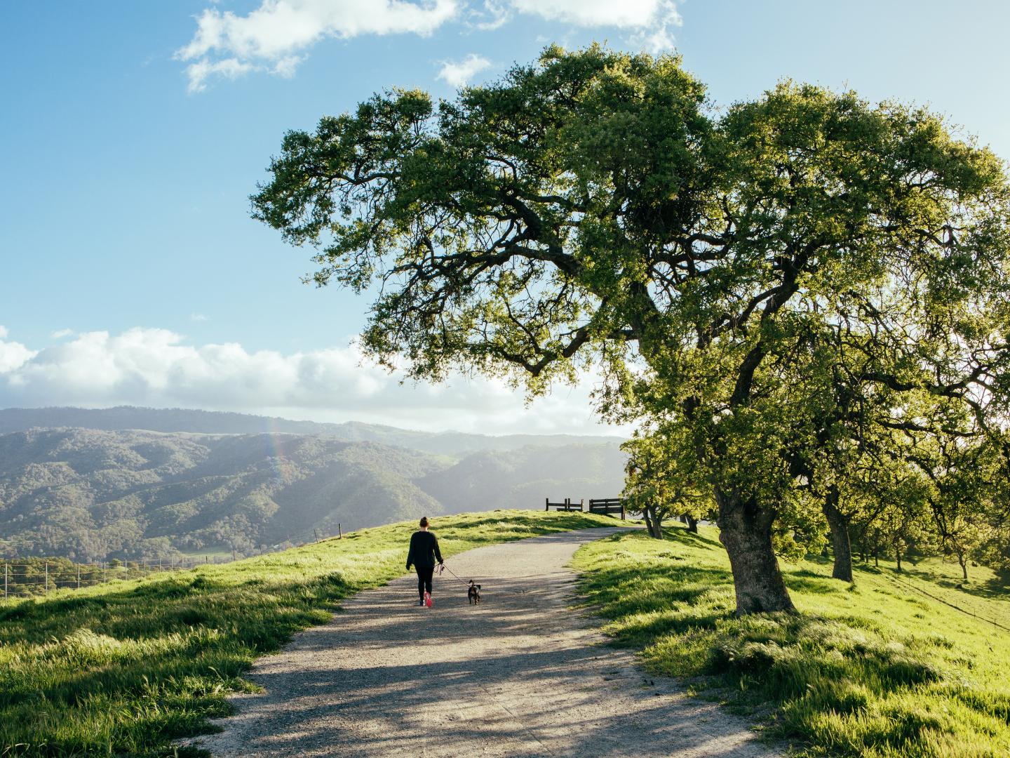 A woman walking a dog surrounded by a stunning Tri-Valley, California, landscape