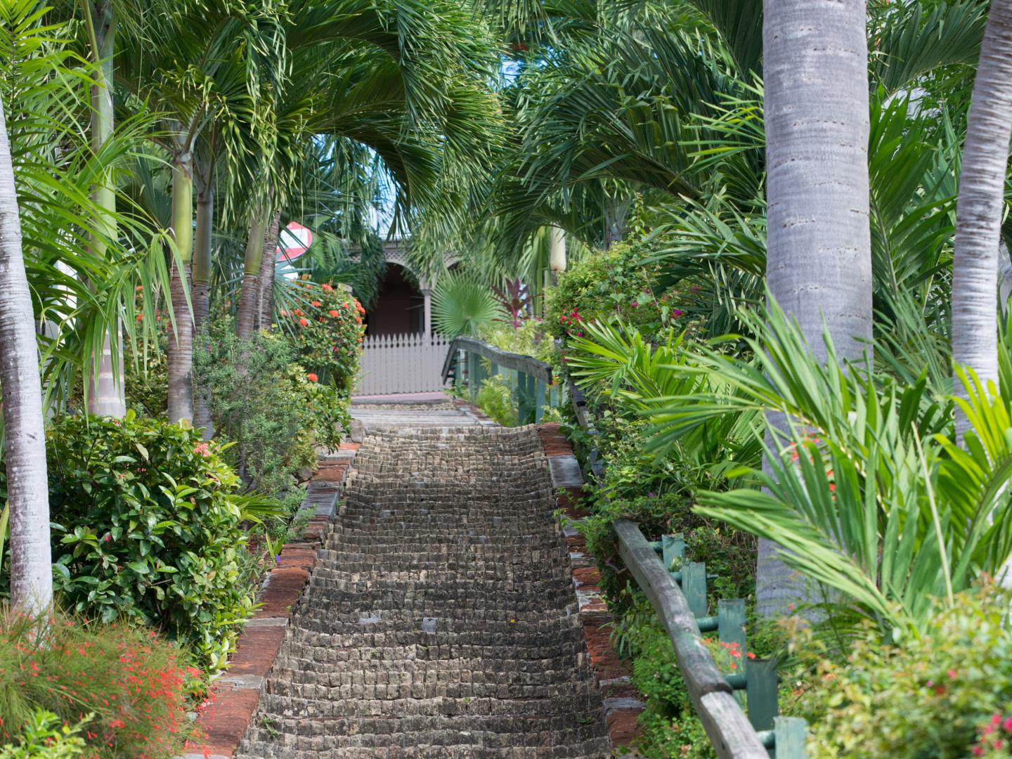 The 99 Steps of Charlotte Amalie in St. Thomas 