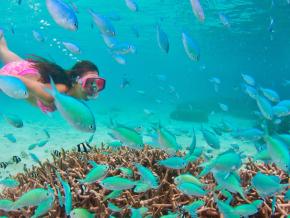 Snorkeling in Tumon Bay Snorkeling in Tumon Bay