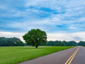 Seeing the sights while driving along the Natchez Trace Parkway