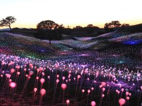 The enchanting Field of Light at Sensorio, a walk-through art installation by Bruce Munro