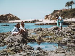 Spotting sea life in tide pools at one of the local beaches Spotting sea life in tide pools at one of the local beaches