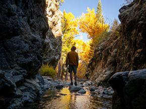 Zapata Falls Trail cerca de Alamosa, Colorado Zapata Falls Trail cerca de Alamosa, Colorado