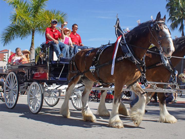 Un paseo en carruaje tirado por caballos durante el Edison Festival of Lights