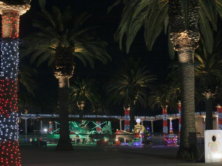 Palmiers illuminés durant l’événement Holidayz at the Park à Great Park, Irvine, Californie
