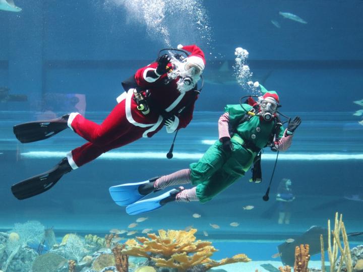 Buceadores con trajes de temporada en Merry Days by the Bay en el centro de Corpus Christi, Texas