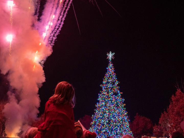 Les illuminations de sapins de Noël à Rancho Cordova, Californie