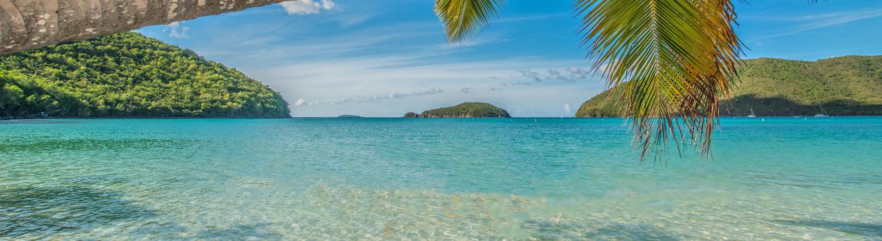 View of palm trees and clear waters in St. John, U.S. Virgin Islands