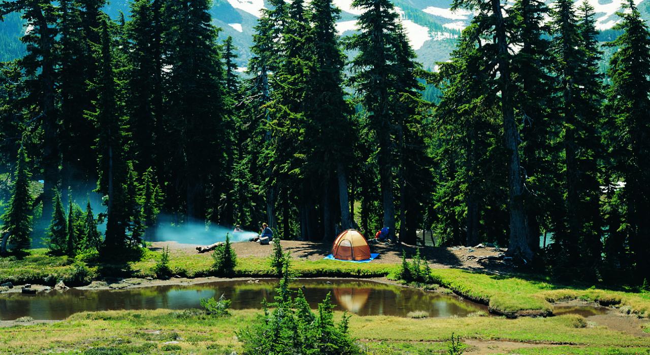 산에서 캠핑하기