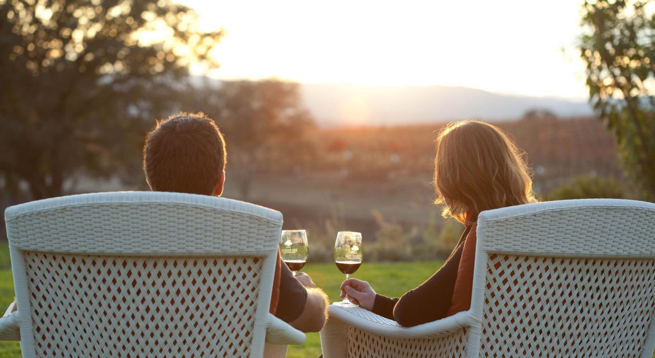 Couple sipping wine while taking in vineyard views 