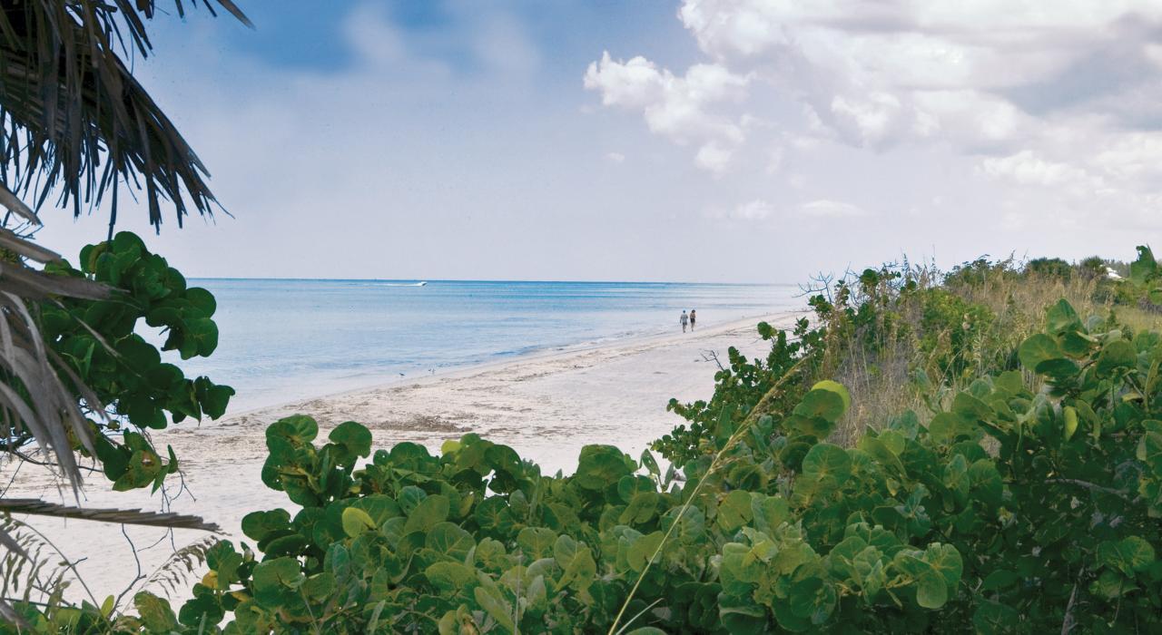 Strolling the pristine, white-sand shores of Don Pedro Island State Park