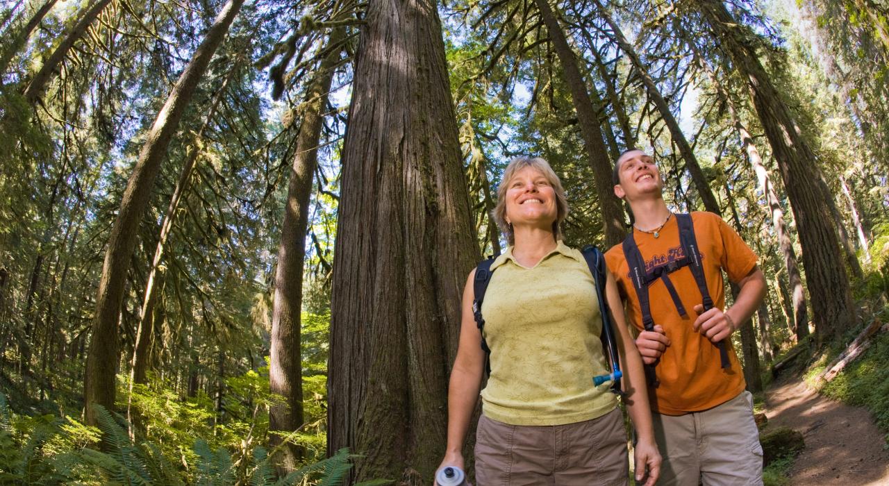 Recorriendo el Mt. Hood National Forest