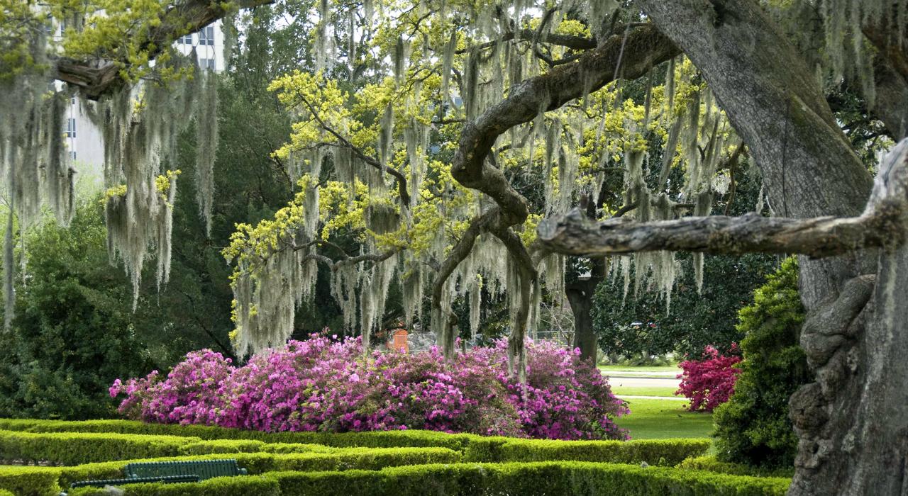 Gorgeous gardens on the grounds of the new state capitol building in Baton Rouge, Louisiana