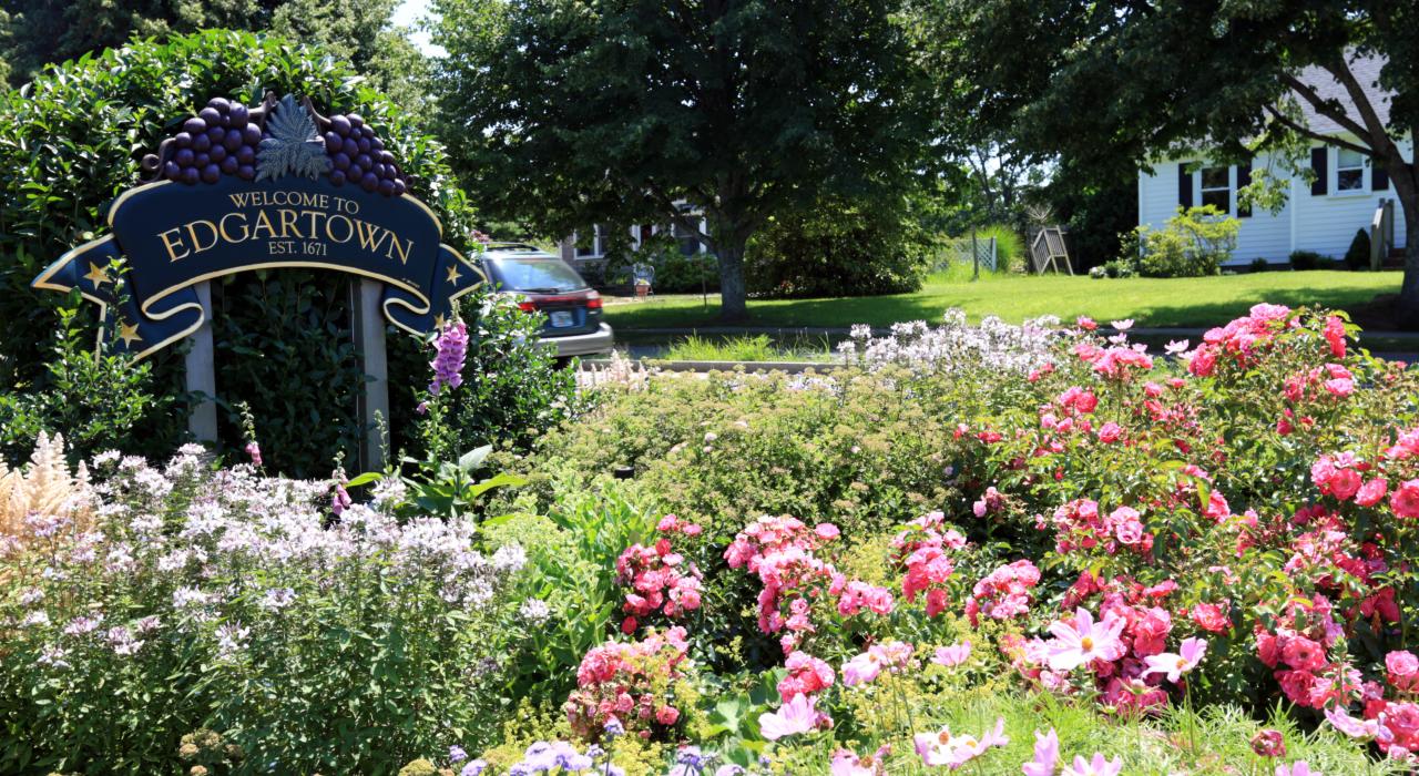 Edgartown flowers, Martha’s Vineyard, Massachusetts