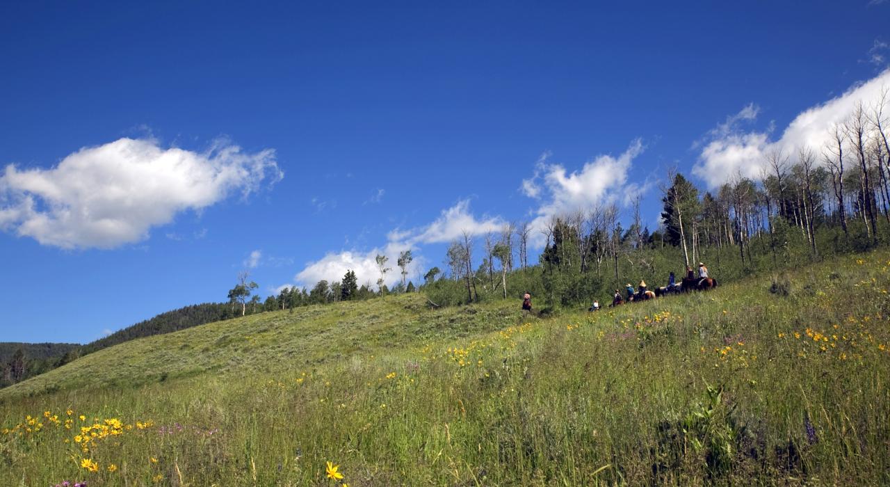 Horseback riding in the meadows in Yellowstone National Park, Montana